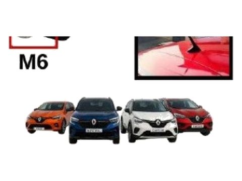 Clio 5 Austral Captur Kadjar Tavan Anten Çubuğu 200mm Metrik 6