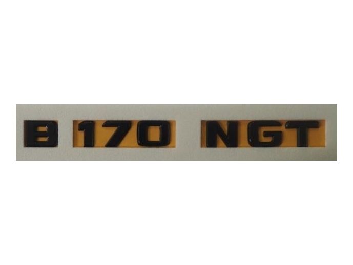 Mercedes Benz B 170 NGT Yazısı